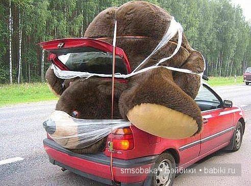 Смешинки с участием игрушек