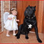 "Дай лапу друг!" Моей коллекции кукол 3 года