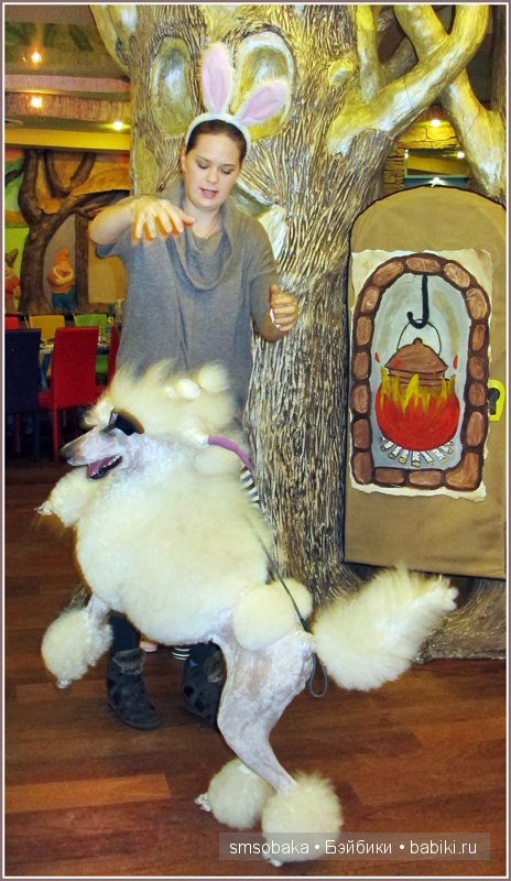 Новогодний карнавал 2015 (Москва) (фото 3)