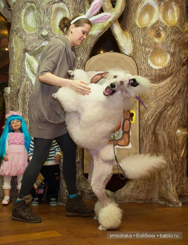 Кукловстреча-карнавал (Москва 2015) Фото от фотографа