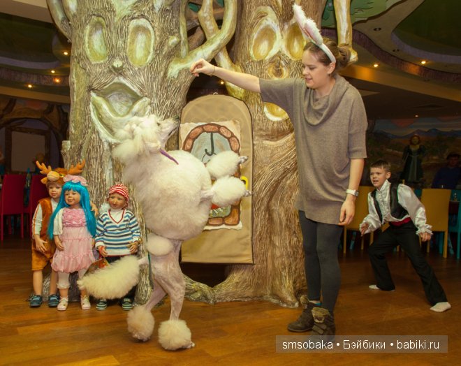 Кукловстреча-карнавал (Москва 2015) Фото от фотографа