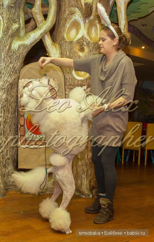 Кукловстреча-карнавал (Москва 2015) Фото от фотографа