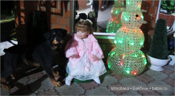 Кукло-встреча в Москве 13 июня 2015 года