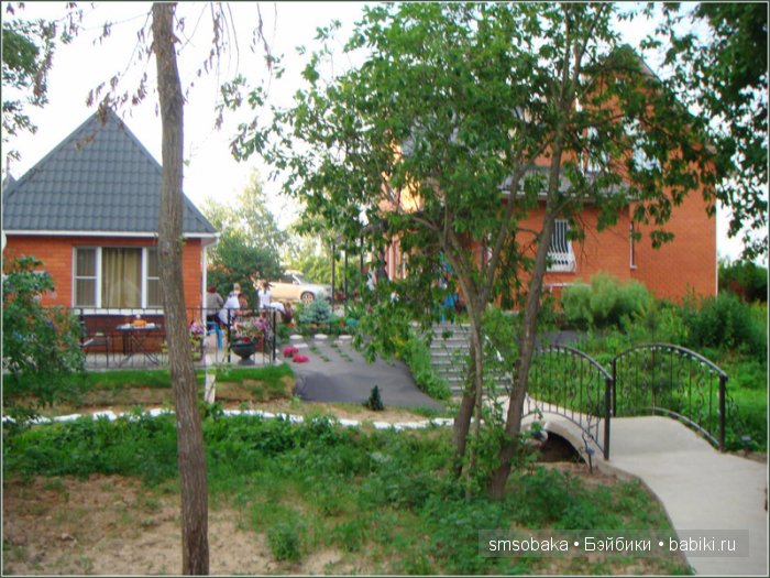 Кукло-встреча в Москве 13 июня 2015 года