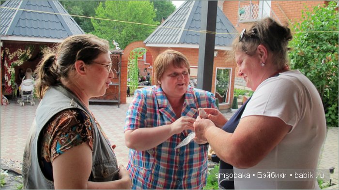 Кукло-встреча в Москве 13 июня 2015 года