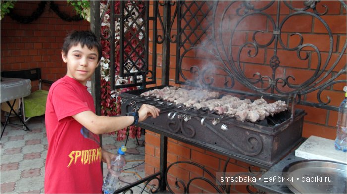 Кукло-встреча в Москве 13 июня 2015 года