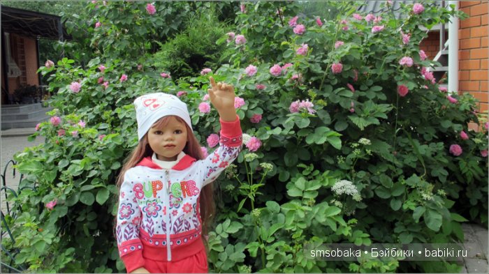 Кукло-встреча в Москве 13 июня 2015 года