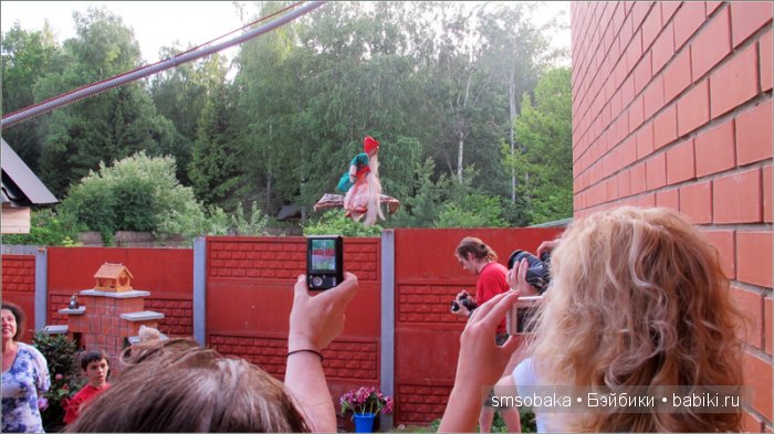 Кукло-встреча в Москве 13 июня 2015 года