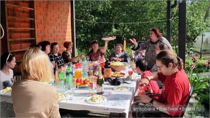 Кукло-встреча в Москве 13 июня 2015 года