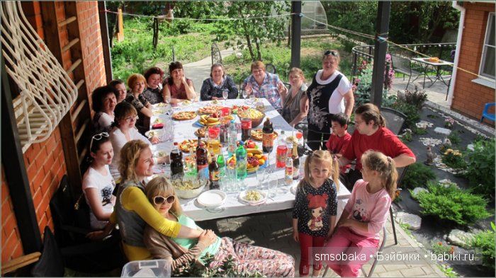 Кукло-встреча в Москве 13 июня 2015 года