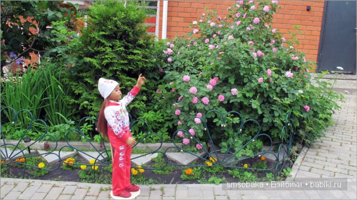 Кукло-встреча в Москве 13 июня 2015 года