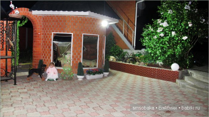 Кукло-встреча в Москве 13 июня 2015 года