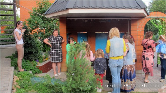 Кукло-встреча в Москве 13 июня 2015 года