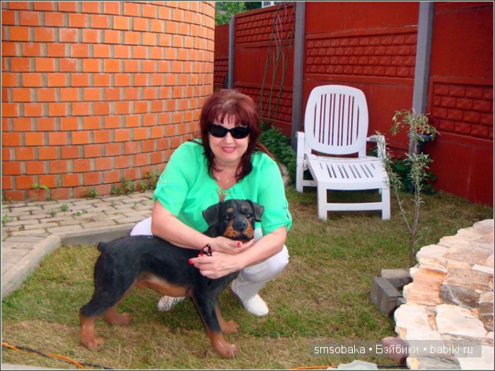 Кукло-встреча в Москве 13 июня 2015 года