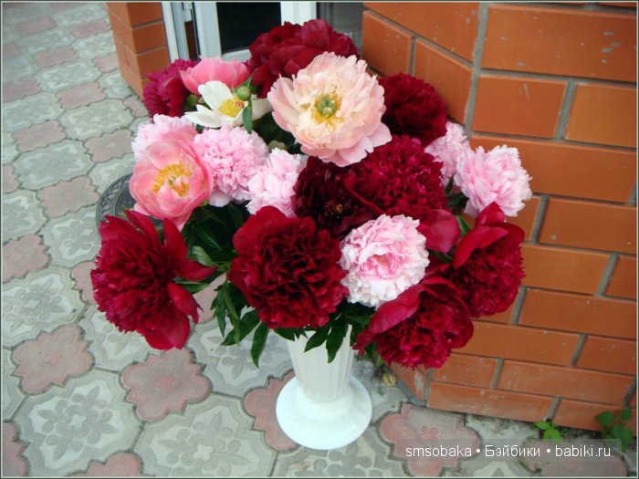 Кукло-встреча в Москве 13 июня 2015 года