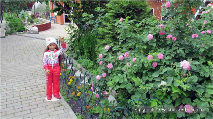 Кукло-встреча в Москве 13 июня 2015 года
