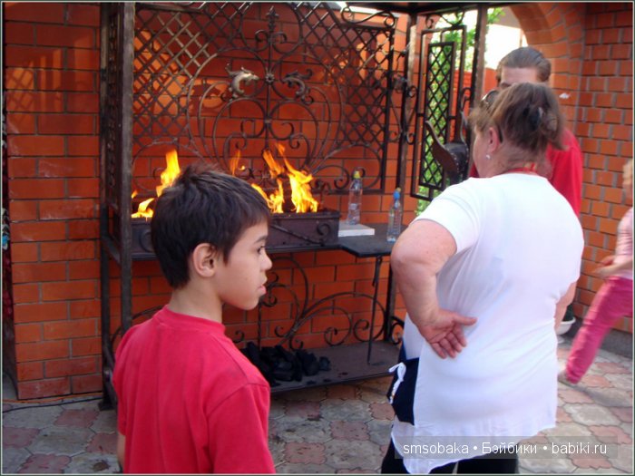 Кукло-встреча в Москве 13 июня 2015 года