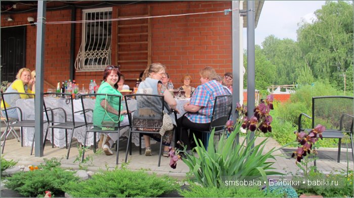 Кукло-встреча в Москве 13 июня 2015 года