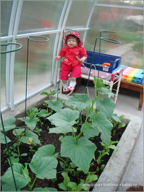 Кукло-встреча в Москве 13 июня 2015 года