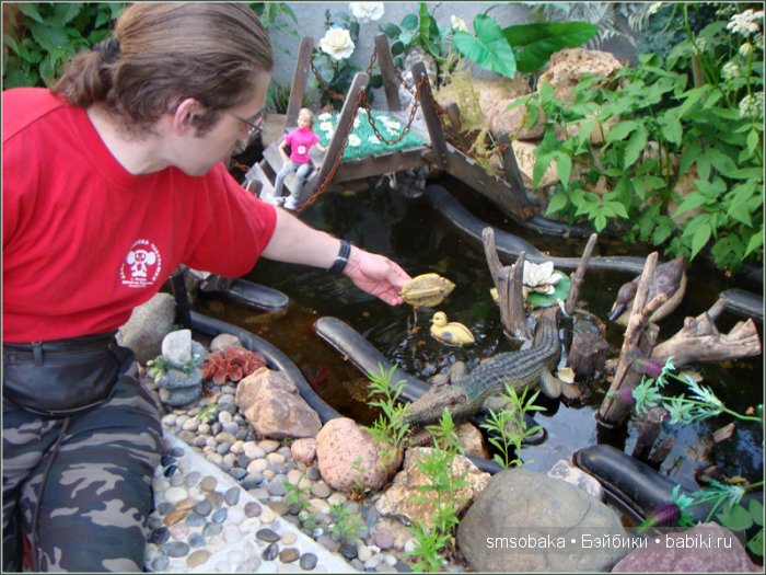 Кукло-встреча в Москве 13 июня 2015 года