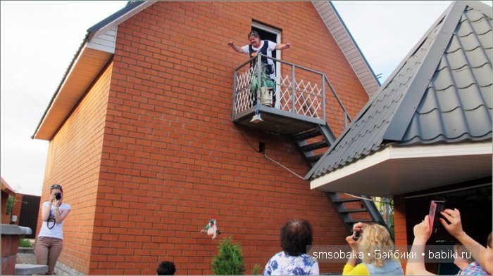 Кукло-встреча в Москве 13 июня 2015 года