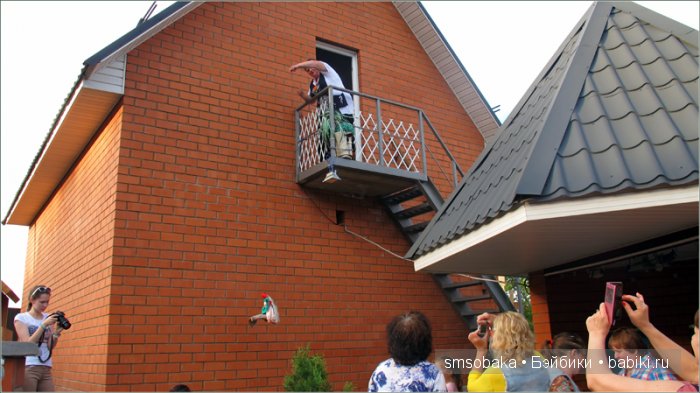 Кукло-встреча в Москве 13 июня 2015 года