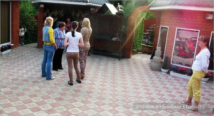 Кукло-встреча в Москве 13 июня 2015 года