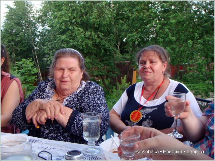 Кукло-встреча в Москве 13 июня 2015 года