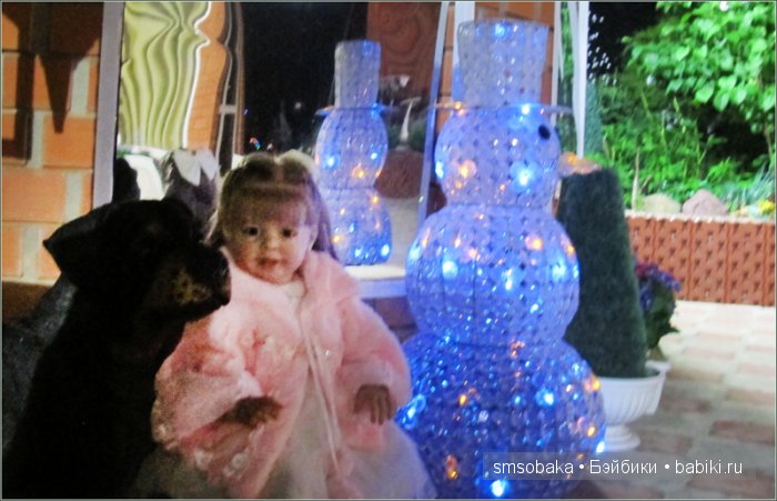 Кукло-встреча в Москве 13 июня 2015 года