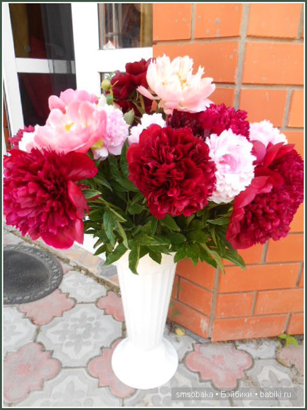 Кукло-встреча в Москве 13 июня 2015 года