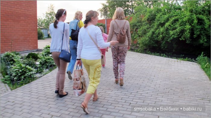 Кукло-встреча в Москве 13 июня 2015 года