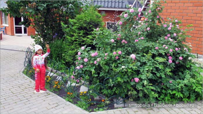 Кукло-встреча в Москве 13 июня 2015 года