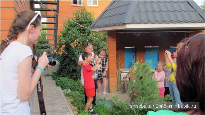 Кукло-встреча в Москве 13 июня 2015 года