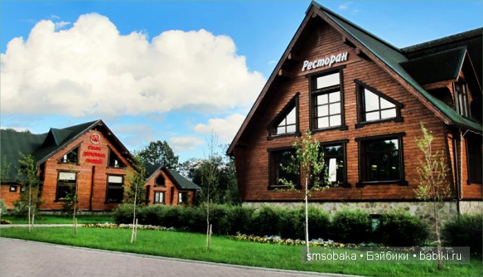 Леночкино лето. Живая кукла. часть 2 - Селигер