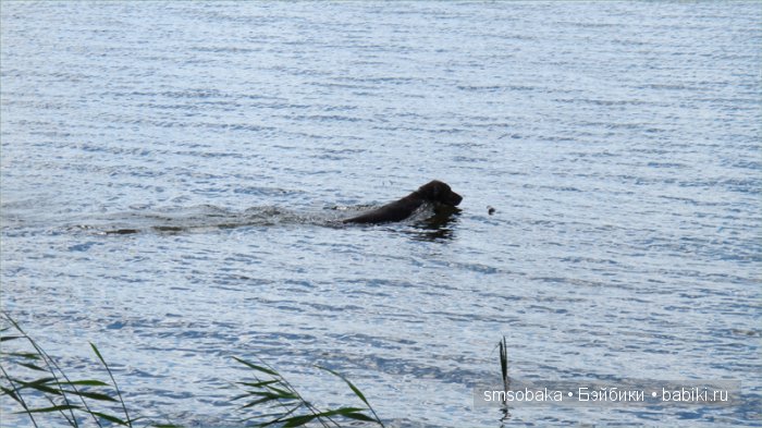Леночкино лето. Живая кукла. часть 2 - Селигер