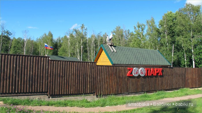 Леночкино лето. Живая кукла. часть 2 - Селигер