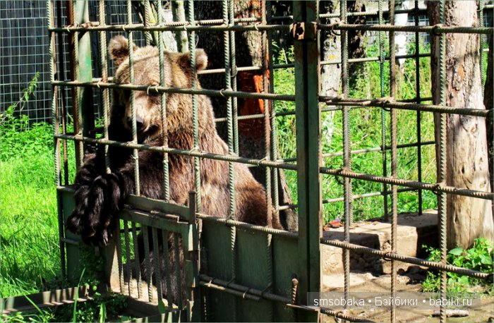 Леночкино лето. Живая кукла. часть 2 - Селигер