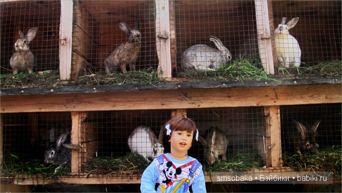 Леночкино лето. Живая кукла. часть 2 - Селигер