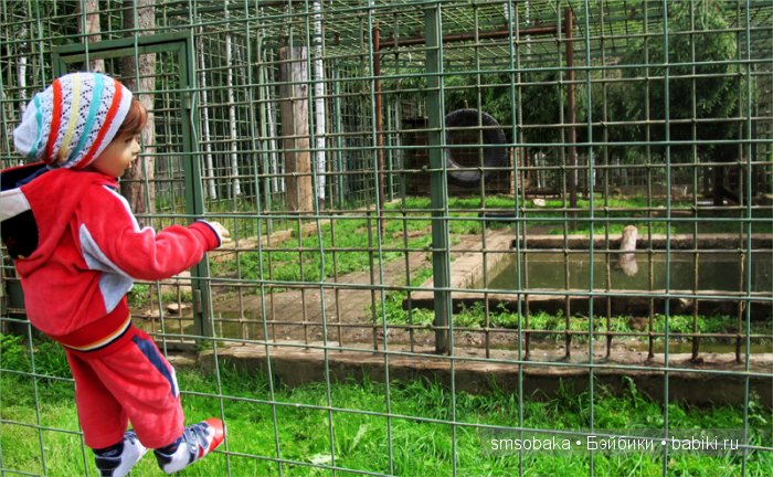 Леночкино лето. Живая кукла. часть 2 - Селигер