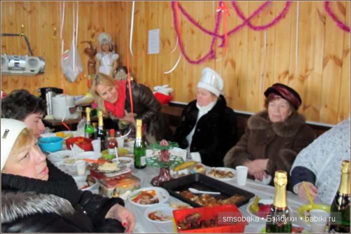 Новогодняя кукловстреча в Москве 2016 год