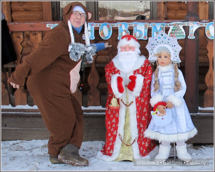 Новогодняя кукловстреча в Москве 2016 год (фото 8)