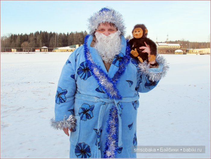 Новогодняя кукловстреча в Москве 2016 год