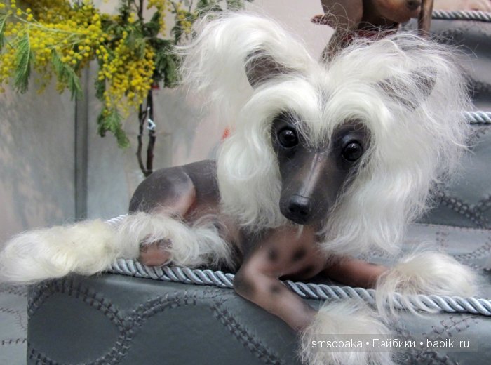 Весенняя выставка на Тишинке моими глазами. 5 марта 2016