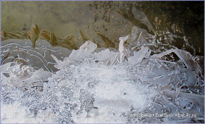 Приз за первое место в лотерее! Как зима ушла, а весна пришла (фото 10)