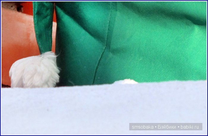 Приз за первое место в лотерее! Как зима ушла, а весна пришла