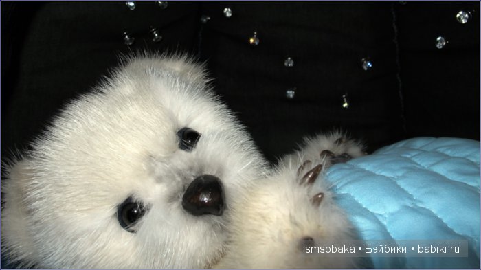 Умка | Бэйбики Домашние фото авторских игрушек: Тедди (фото 2)