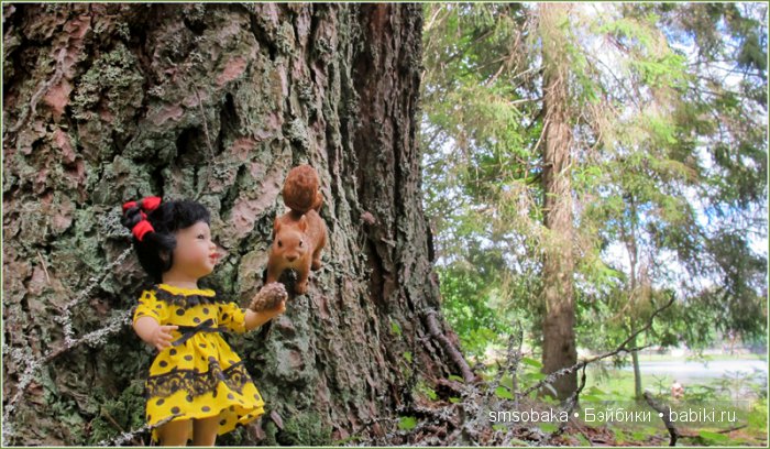 Лето мини Адорочек. Часть 2 - Селигер 2016 (фото 4)