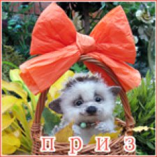 Приз за 1 место в фото-конкурсе!