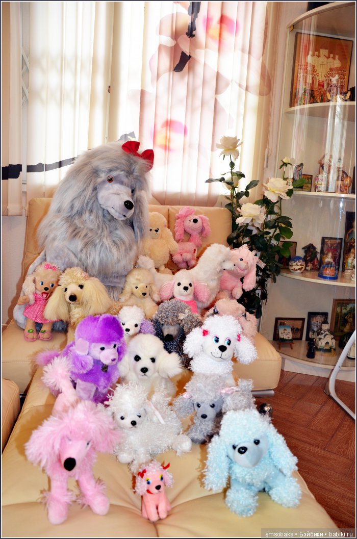 Налог на коллекционирование (фото 2)