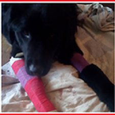 Акт милосердия!